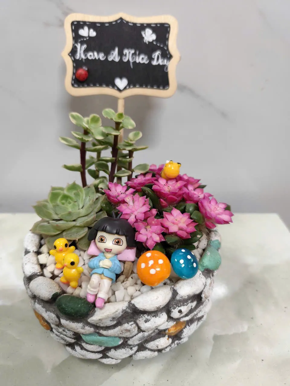 Sen đá + Cây Cảnh